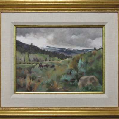 Early Spring Storm