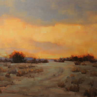 Late Light, Sonoran Desert