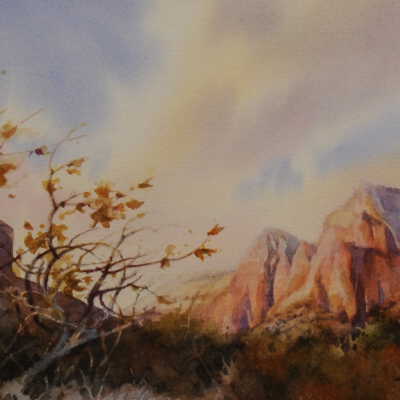 Zion Skies