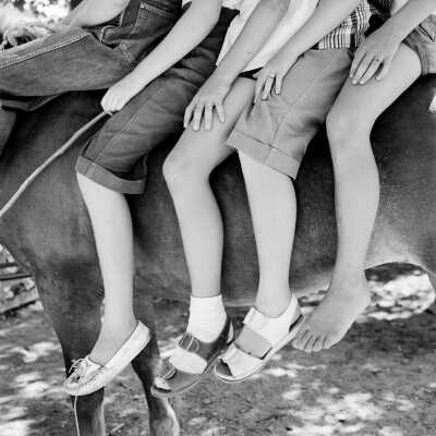 Four Young Riders in Summer