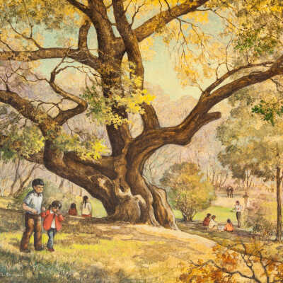Unknown Title