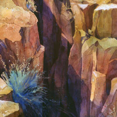 Crevice in Box Canyon