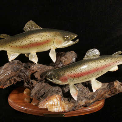 Two Rainbow Trout