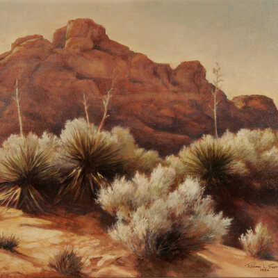 Desert Haze