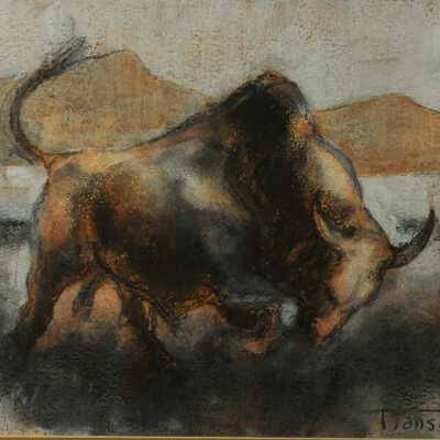 Unknown (bull)