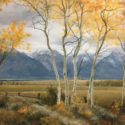 RX: Take an Aspen a Day