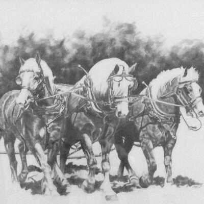 Three Horses