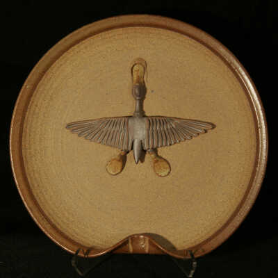 Flight of the Phoenix I