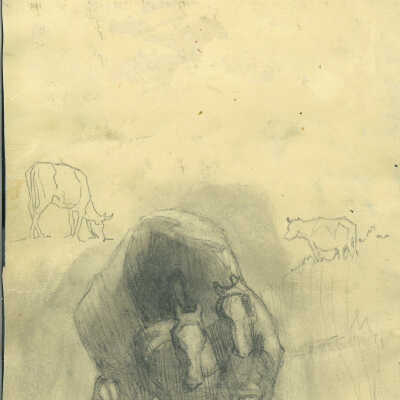 Covered Wagon