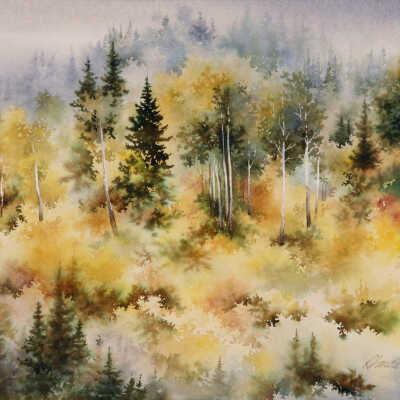 Hill Above Warm River
