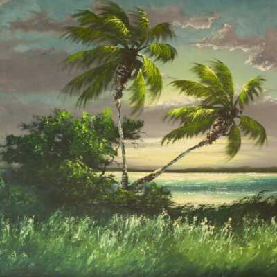Indian River Moonlight