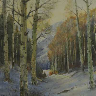 Winter Aspens