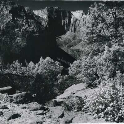 No 2 - Pinyon and Juniper