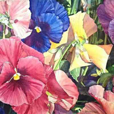 Pansies