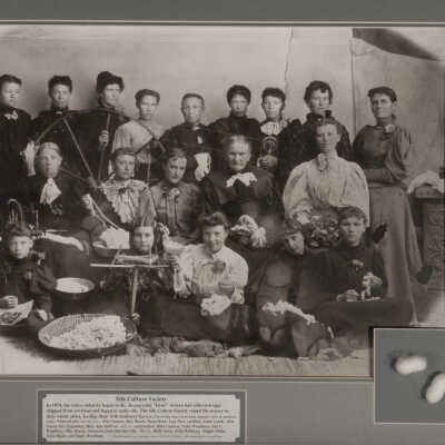 Silk Culture Society