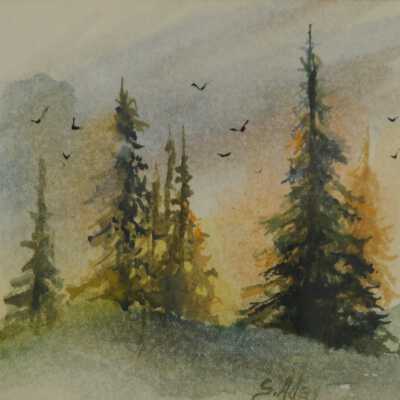 Untitled - Fir Trees
