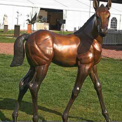 Filly