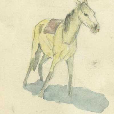 Pony