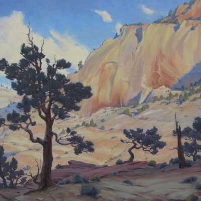 In the Navajo Strata