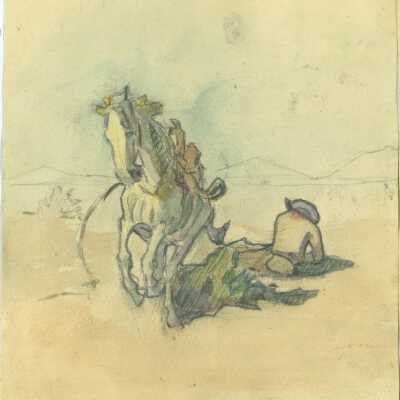 Runaway Pony