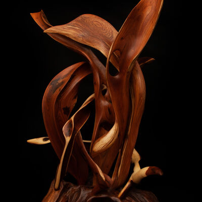 Seaweed
