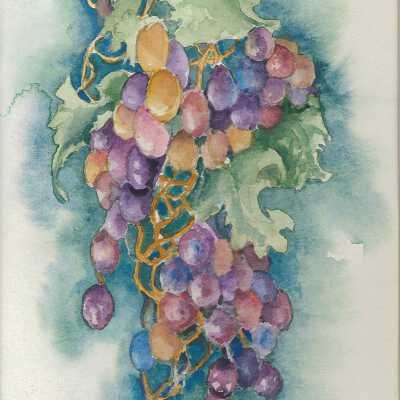 Untitled--Grapes