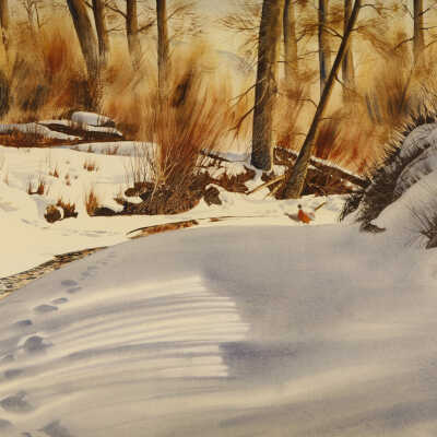 Pheasants on Ten Mile Creek
