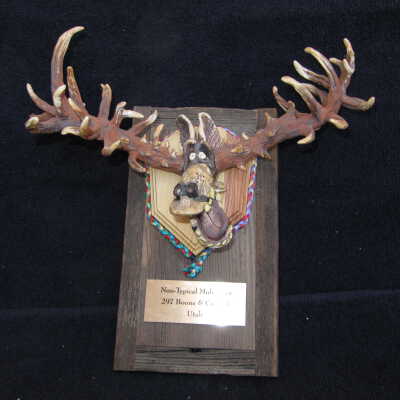 Non Typical Mule Deer