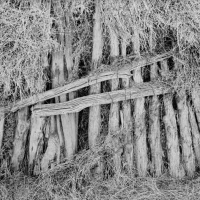 Barns haying near St. George