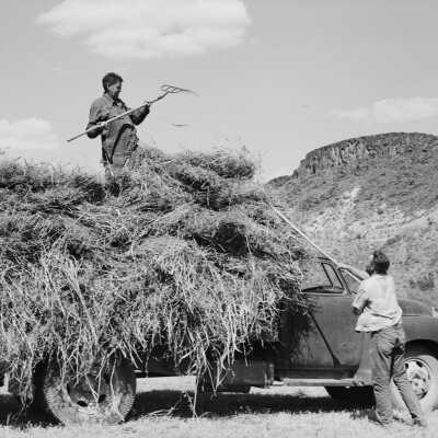 Loading Hay