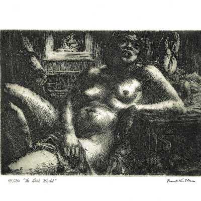 The Dark Model