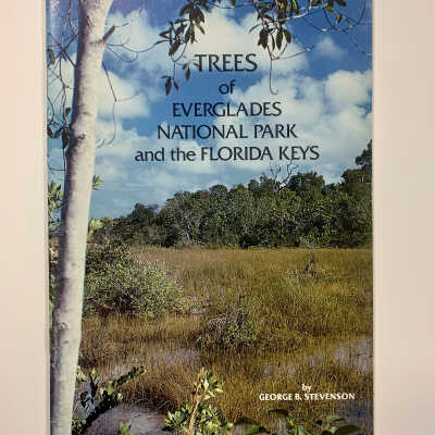 Trees of Everglades National Park and the Florida Keys