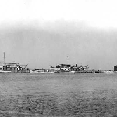 The Harbor