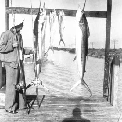 A Day's Catch