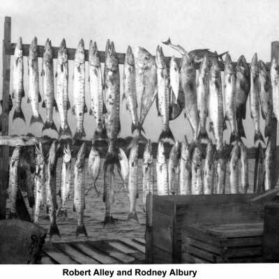 A Day's Catch