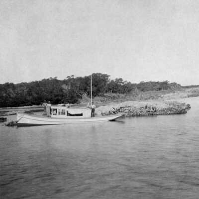Jewfish Creek