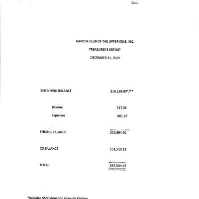 December 2015 Treasurer Report