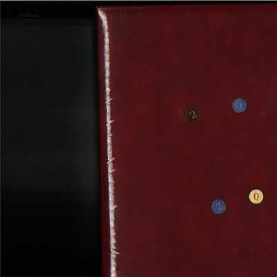 2007-2008 DAR Scrapbook