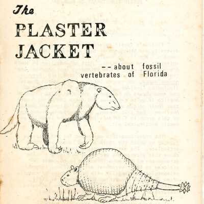 The Plaster Jacket #13