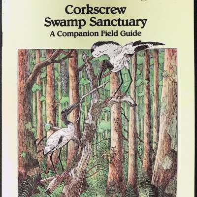 Corkscrew Swamp Sanctuary