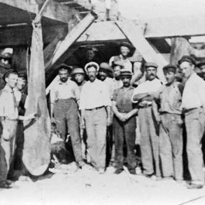 FEC Railroad Workers with Shark