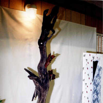 Unidentified 2000s Event - Category 2