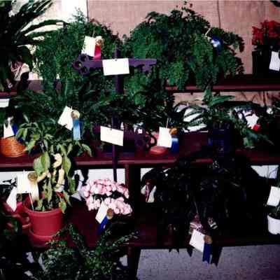 Unidentified 2000s Event - Category 1