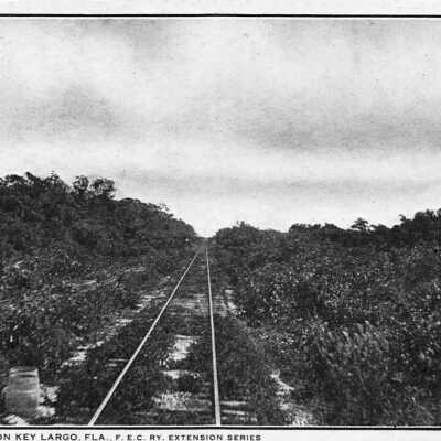 Track along Key Largo