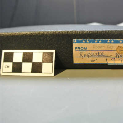 Reports from 1968-1970