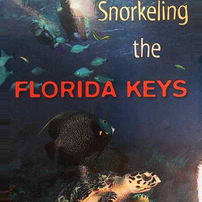 Snorkeling the Florida Keys