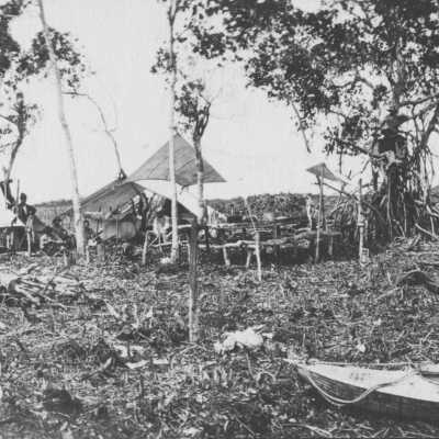 Survey Party in the Glades