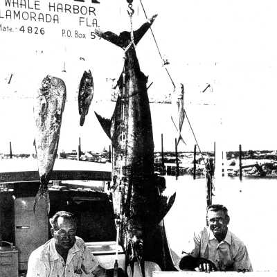 Captain Angus Boatwright, Whale Harbor