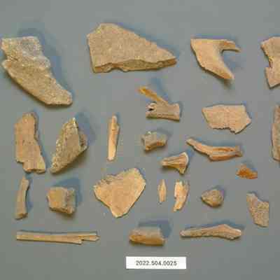 Unidentified mammalian bone fragments