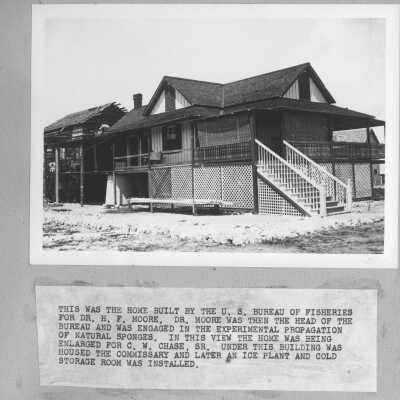 Moore House